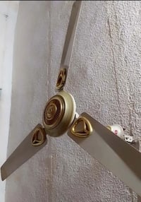 بنكه • باكستاني • اصلي