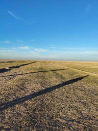 كاع للبيع 233 دونم بيه بير مزروعه العام السنه مخضره جاث عل مطر بلكصير ...