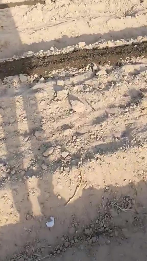 السلام عليكم
متوفر كادر عمال سماد دفان 
التواصل ‏‪***********‬‏ 
أو خاص
