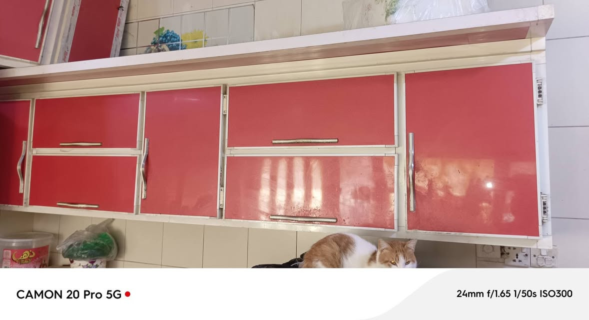 كاونتر قياس 5متر مرمر 5قطع للبيع 550مكاني نجف


**إذا كنت صاحب هذا الإعلان وتريد حذفه لأي سبب، رجاءا أرسل رسالة إلى الدعم الفني**