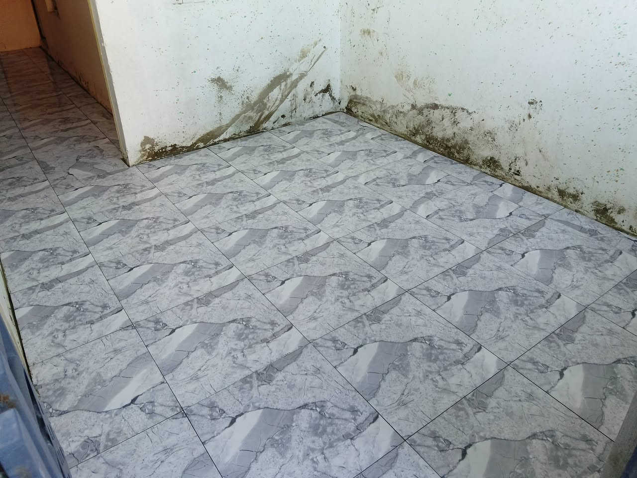 السلام عليكم  صفاف سيراميك جدار ارضي متفرغ حاليا شغل نضيف ومرتب توصل واتساب ***********
