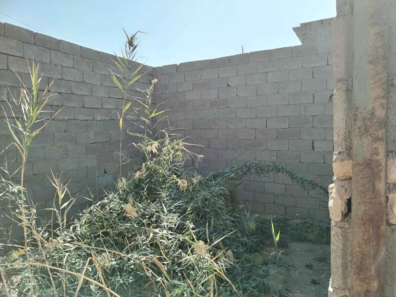 هيكل بيت للبيع التفاصيل
(٢٠٠ متر مربع)
جنس العقار زراعي
يحتوي على غرفة نوم واسنقبال ومطبخ وصحيات
ومحل دكان وكراج كما موضح بلصورة
العنوان المدائن في الجانب الزراعي لحي التصنيع
للمواصلة والاستفسار
***********
