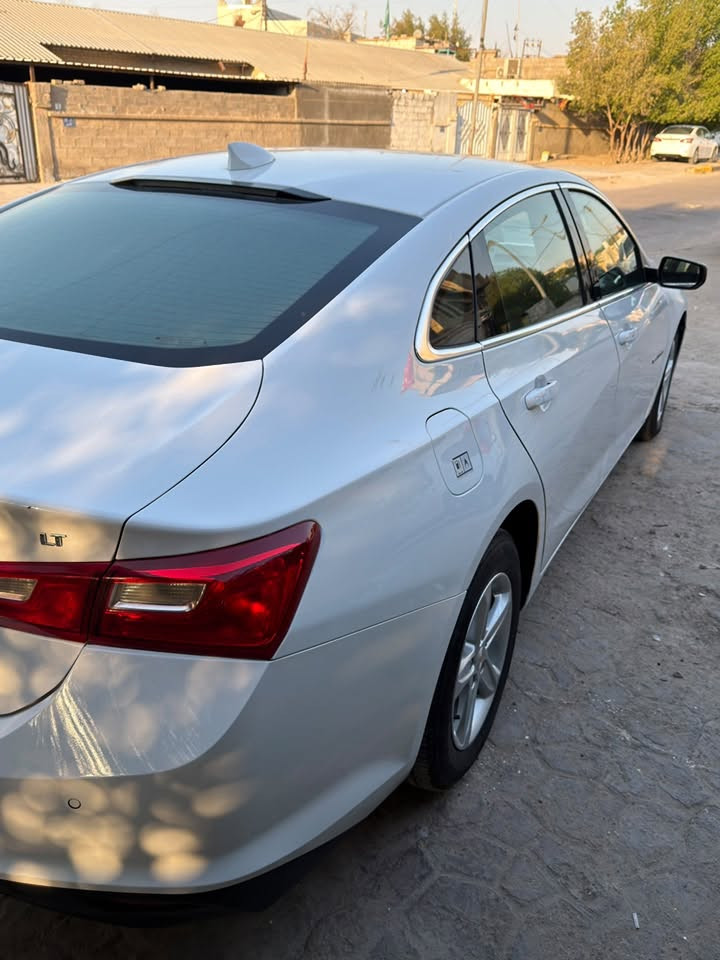 🚘 للبيع شفر ماليبو LT موديل 2024
🤍 اللون: أبيض
📍 الممشى: 50 ألف كم
📍 مكان السيارة: البصرة
📄 رقم بغداد (معوقين)
💰 السعر: 125 ورقة قابل للتفاوض بالمعقول

المواصفات:
• محرك 1.5 تيربو اقتصادي وعزمه ممتاز.
• شاشة كبيرة مع Apple CarPlay و Android Auto.
• تشغيل بصمة وستارت.
• تبريد دبل (Dual Zone).
• كرسي السايق كهربائي.
• كاميرا خلفية مع حساسات.
• جنوط وكالة.
• نسخة LT بدون فتحة سقف.

السيارة نظيفة جداً، استخدام شخصي، وما محتاجة أي مصروف، كلشي بيها شغال وجاهزة للاستخدام.

📸 مرفقة صور الحادث بكل شفافية.

📞 للتواصل واتساب ***********
