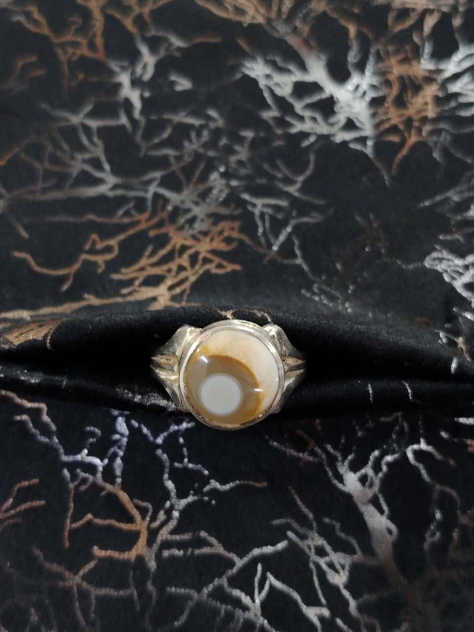 سليماني هلال نوادر للبيع
*********** واتساب فقط
