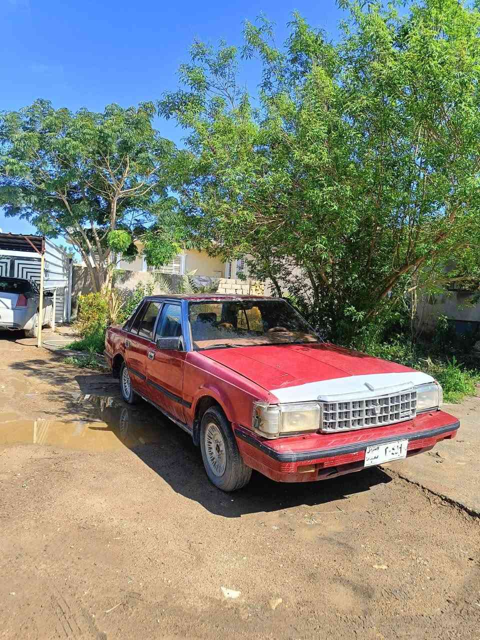 السلام عليكم سوبر موديل 1985 سياره حلوة ونضيفه كير ومكينة بل كاروتون شرط بدون  تنقيص ولا تبخير كهربائيات شغاله ، سياره شوفت عينكم نضافتها 
رقم بغداد صدامي ماندل راعيها ابيعك كوم حديد اكفلها سرقه واكفل عشائر 
السعر /18 
***********
