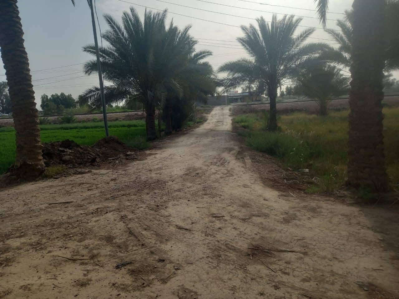 للبيع دونمين موقع مميز جدا على الشارع العام حله بغداد
الأرض طابو زراعي سند 25
موقع حله محاويل على الشارع العام مباشره قريبه من محطة وقود حي 17 تموز مايقارب 400 متر وقريبة من طريق مطار كربلاء المقدسة الجديد مايقارب 600 متر
واجهه الدونم 25 متر ونزال 100 متر وتحويلها في طابو المحاويل 
متوفر فيها كل الخدمات ماء أسأله وكهرباء وتبليط وقريبة على المدارس والأسواق والمستشفيات 
تصلح لأغراض تجارية استثماريةوسكنيه
الأرض مسيجه ومزروعه نخيل كما موضح بالصور 
الأرض تحويل مباشر من البائع ومفتوح فيها بيان 
الاستفسار والمعاينة والسعر التواصل على الواتس أب من الرابط التالي :
https://api.whatsapp.com/send/?phone=201040175849&text&type=phone_number&app_absent=0&wame_ctl=1
او على الأرقام :
***********

+201040175849
