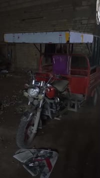 ستوته • نضيفه • اوراق اصلية