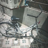 باسكل • كربلاء فريحه