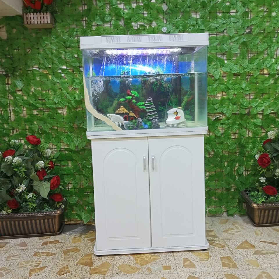 كدورة سيراميك كلش نضيافات سعرهن ٤٠ قفل يفيدن رمضان 
ميز سمج نهاية ٦٠ كامل 
*********** النجف, العراق
