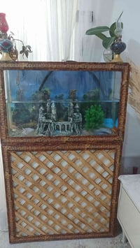 حوض زينة • سمود