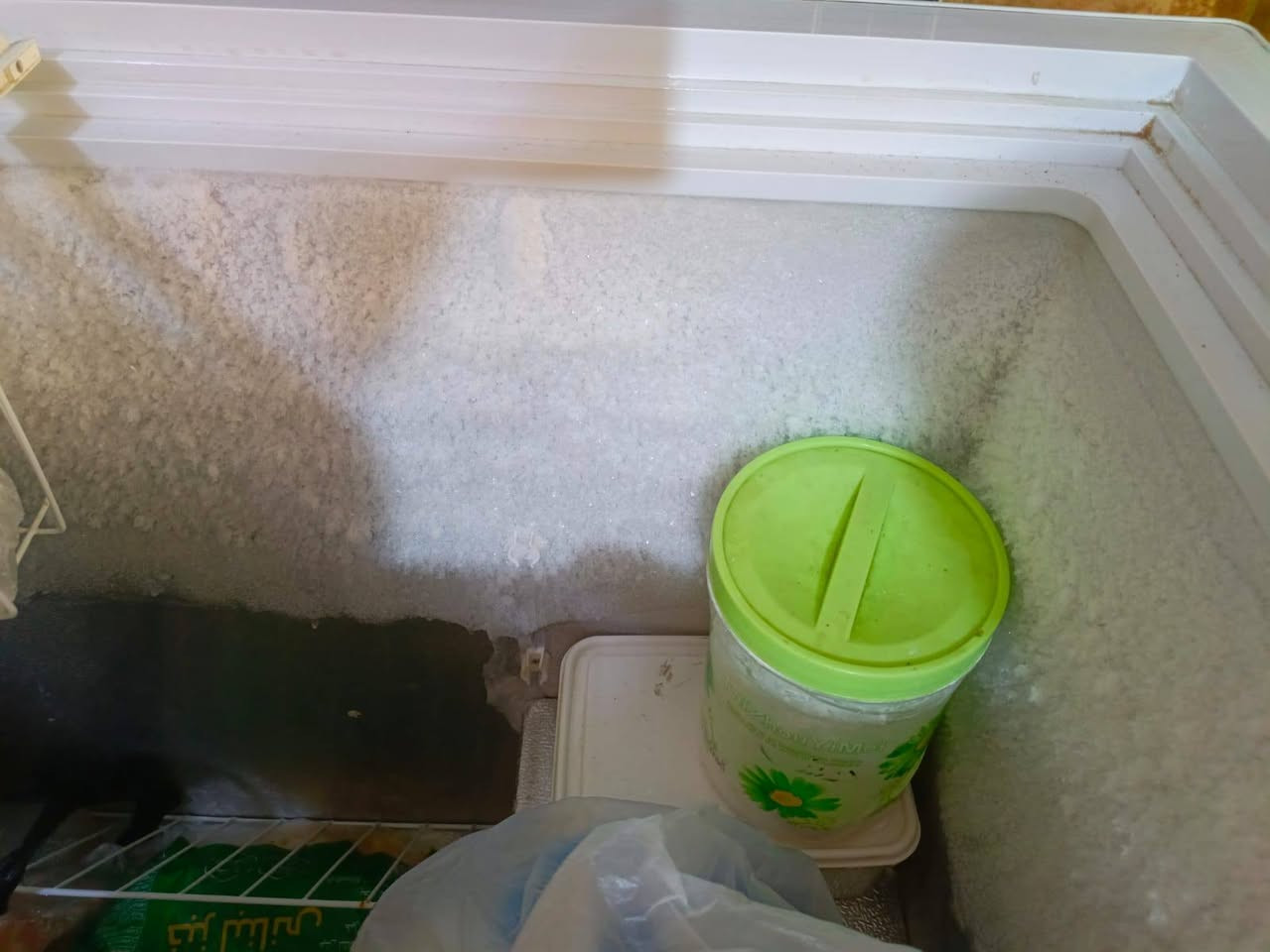 السلام عليكم مجمده للبيع مداخله تصليح تجميد فول نضافه ٩٠٪ السعر 200 مكان شهداء البياع الرقم ‏‪***********‬‏
