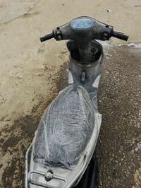 ماكس منغولي • نازله • كفاله