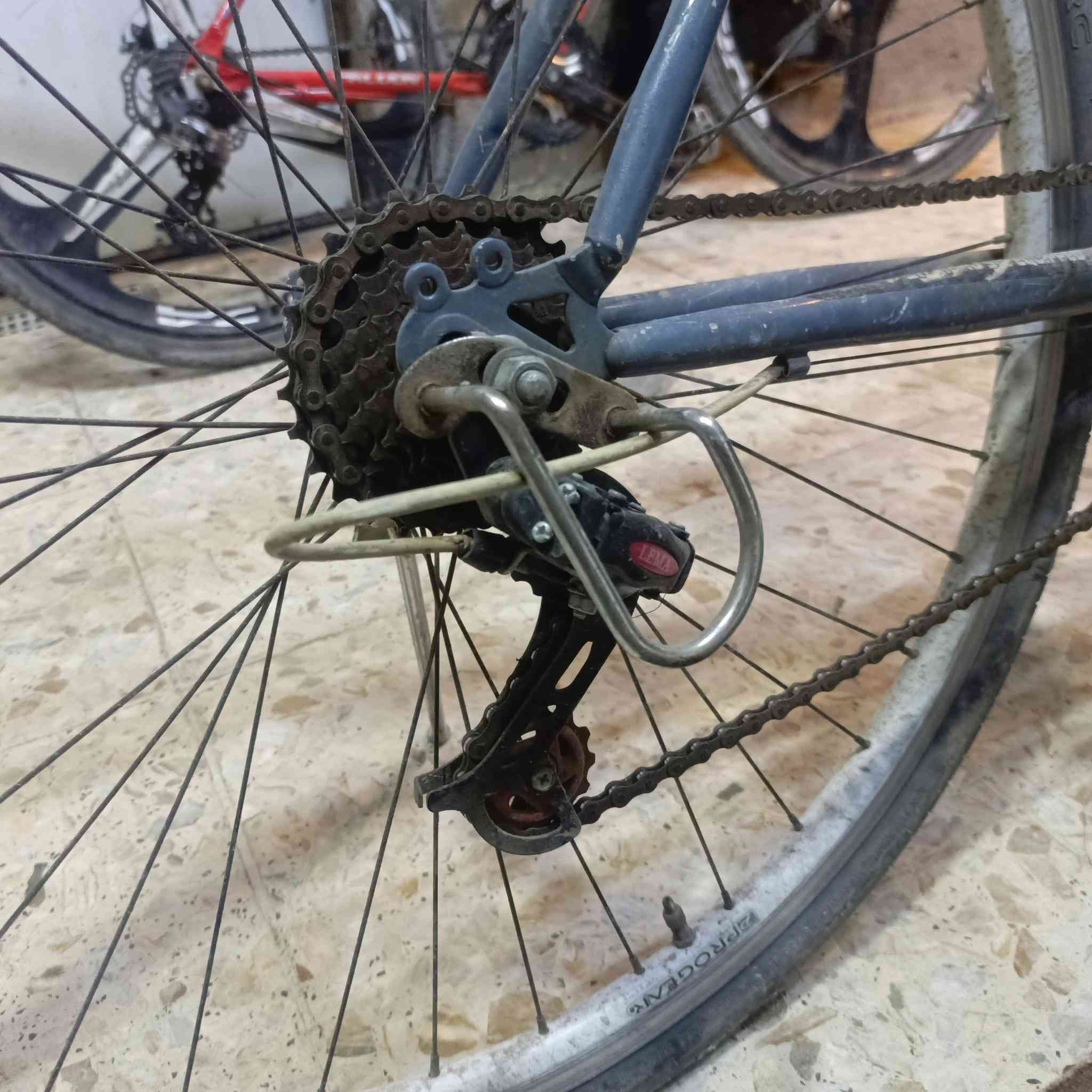 دراجة نوع 700c ماركة StepDragon فيراري ياباني لشة مضلعة واير دفن نظافة 95/% 

معدن فول المنيوم 
                         ماشة المنيوم صب 
                                                  نظام الويالة كمبليون 

سستم شيمانو كلارس 
                             كيورة سحب دفع 
                                                    دشالي 3امامي 7خلفي 

السعر 175الف وبي مجال 

((العنوان/بغداد/البلديات)) رقم الهاتف ***********
