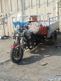 ستوته • أوراق أصلية • ديوانية