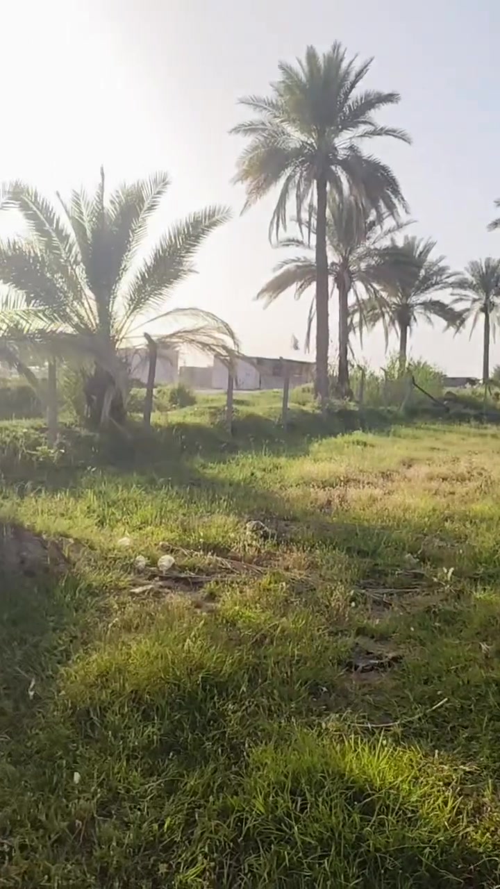 🌴 إعلان قطعة أرض زراعية للبيع – فرصة مميزة
📍 الموقع: أبي غرق – قرب العلوية شريفة، على طريق زوار المشاية، قرب حسينية سيد شاكر.

📐 المساحة: أقل من دونم
📏 الواجهة: 44 متر على الشارع (سنتر)

🌴 مواصفات الأرض:

أرض مربعة الشكل.

مزروعة بأكثر من 35 نخلة مثمرة.

خدمات كاملة متوفرة:

كهرباء

ماء إسالة

ماء سقي

موقع مميز وحيوي.

✨ مناسبة لـ:

بناء سكن خاص.

إنشاء مزرعة ترفيهية أو استراحة عائلية.

مشروع استثماري صغير.

📜 السند: 25 مداور جديد.

💰 السعر مميز جداً مقارنة بالموقع والمواصفات.

📞 للاستفسار والمعاينة يرجى الاتصال على الارقام التاليه 
***********
***********

اغتنم الفرصة لامتلاك أرض بموقع استراتيجي وخدمات متكاملة، مناسبة للسكن والاستثمار والترفيه. 🌴🏡✨
