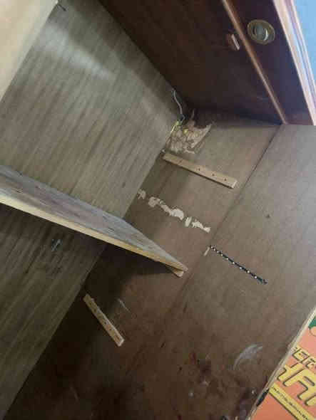 كنتور 6 بوب ابو الملحق بي ارضه ب80 وبي مجال
مكاني اعظميه
***********
