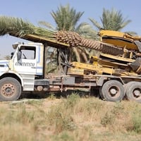 قالعة نخيل • شغال • نجف
