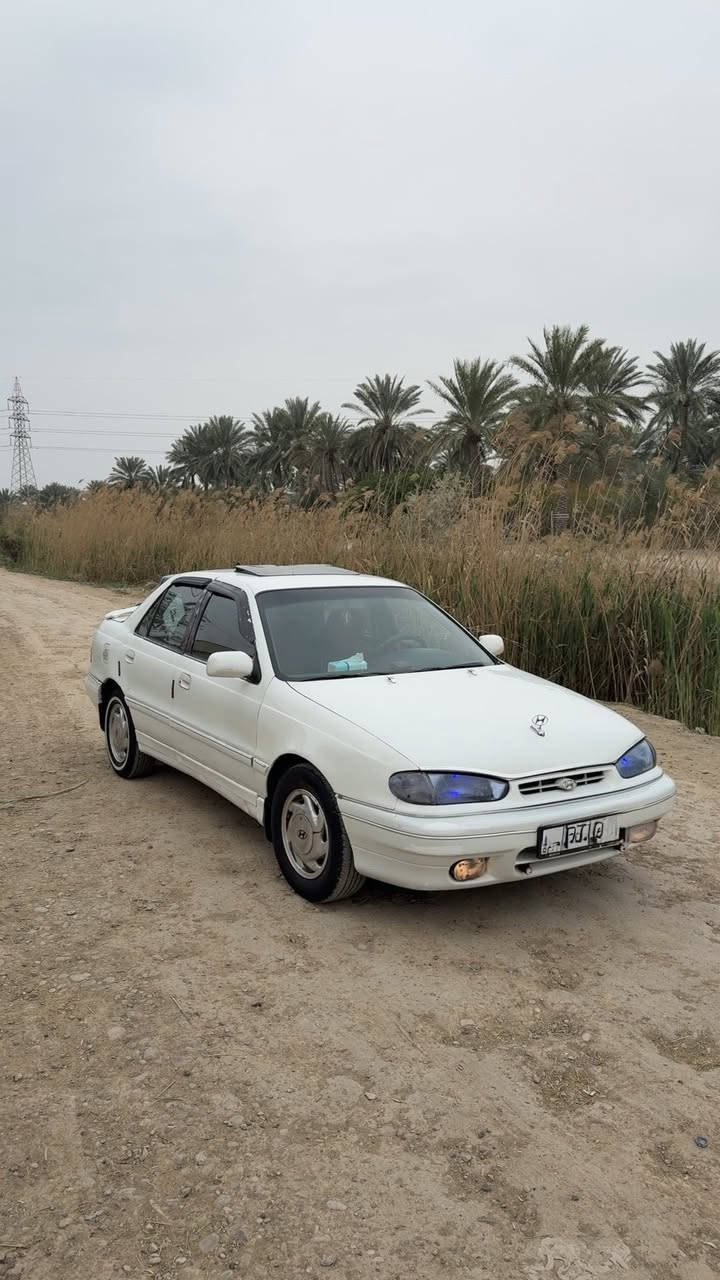 النتره موديل 95 رقم ديالي مشروع وطني تحويل ثاني يوم سنويه جديده هزه جديده محرك مفتوح كير اوتو ماتيك فرممات شركه علا وضع البلاد تبريت تفه سنتر لك علا ريموت كهربيات دشبول لايت عالي ناصي جام سمعات أربعه كله شغال سياره مكفوله كفاله عامه من ضربه ومعجون وخياس سياره داخل وخارج جديد سياره مال جناي متعوب عليه معنه كلام بيع أو مراوس حسب القناعه سعر 40) ***********
