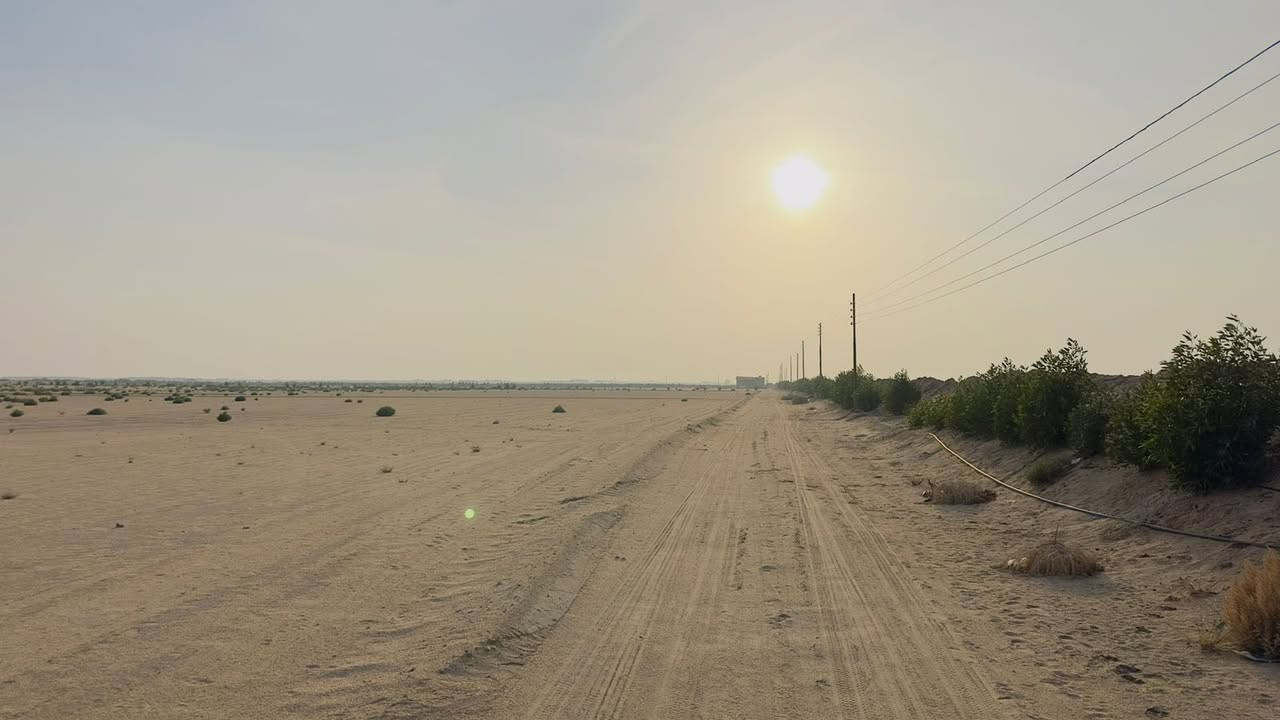 السلام عليكم
مزرعه للبيع 26دونم مسيجه بأشجار بيها بيت وكهرباء وطنيه وبير ارتواز عقدها قيد الانجاز عنوانها طريق الزبير نزلتها قرب معمل بلوك ديالى المزرعه تبعد 2 كيلو عن شارع الزبير السعر65 وبيها مجال

مكلف بالنشر انا

راعي المزرعه  ‭0770 670 7388‬
