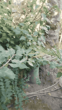 بسم الله الرحمن الرحيم 
للثواب مجاني 
اقلام جهنمي 
اقلام طرنج 
اقلام تكي كندي 
اقلام تكي عراقي 
اقلام رمان واندفل 
الى ارواح امواتي الفاتحه 
مشتل الزهراء في ميسان 
العماره بستان دور النفط شارع مقبره الصابئه قرب جملونات بيت العنتاكي للدواشك والحصران داخل الفرع 
***********
***********
