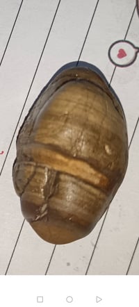 اغراض شخصية • معلومات ناقصة