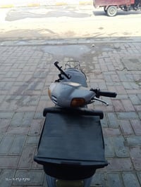 منغولي • مكفولة • كربلاء