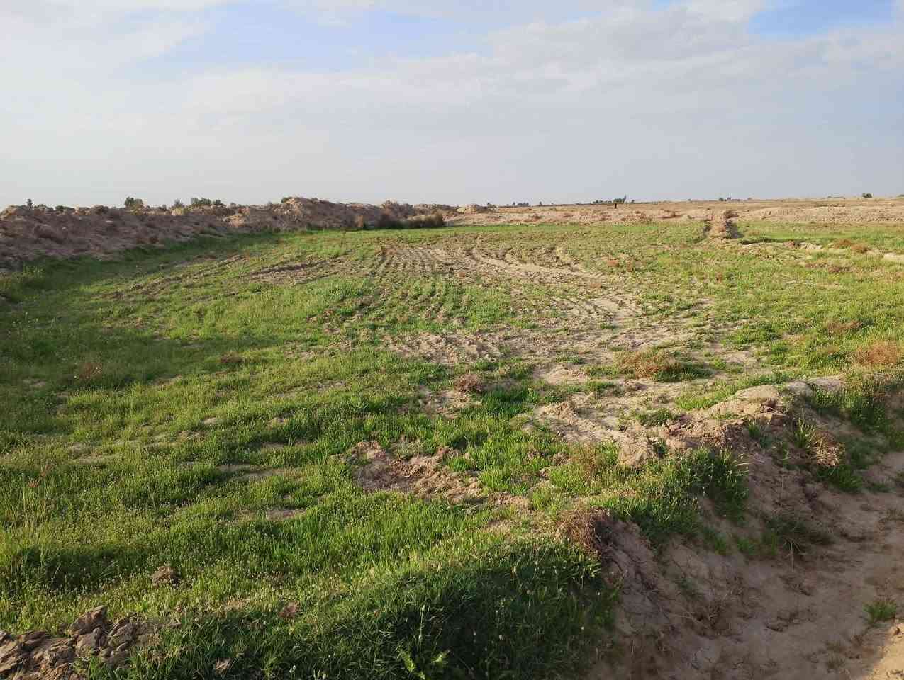 ارض زراعيه للبيع قرب الساده الاخوان
الاستفسار اتصال على رقم ***********
