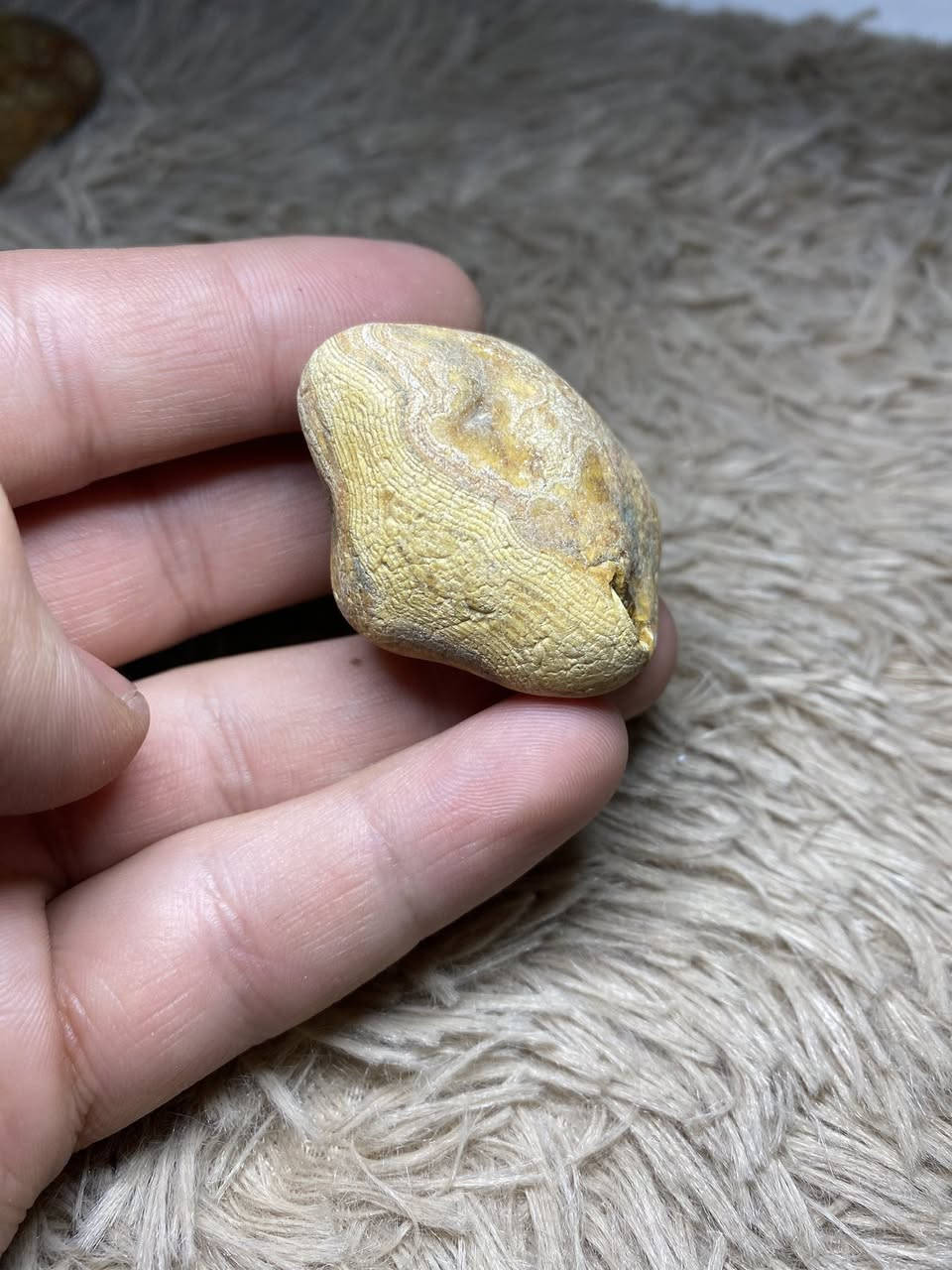 السلام عليكم 
مجموعة احجار خام مال ملاكط سعر القطعه ٣ الاف المجموع ٨٠ قطعه مكاني بغداد البنوك


**إذا كنت صاحب هذا الإعلان وتريد حذفه لأي سبب، رجاءا أرسل رسالة إلى الدعم الفني**