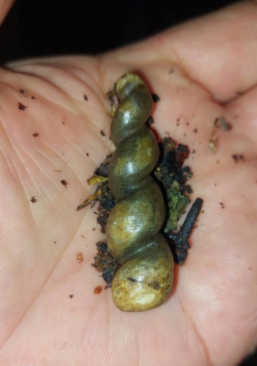 #يا #الله عرك لوي طبيعي 100بل 100  وشفاف ومال زماط 
شغل جوكر 🃏 عام  مال مزامط  مفتوح وروحانيه واحد على واحد  تابع الفيديو وخادم الكم   
#فوائد  شغل جوكر 🃏 عام باذن الله🤟🤟🤟🤟🤟 
جاه وجه والهيبه والمجاه وتغلب على الأعداء تسهيلات عامه 3عكد السان ودخول على السلاطين  منكل نسائي رجالي  مال شيوخ ودواوين  فول الفول  شغل جوكر 🃏 عام  لبقه بالكلام 
داخل الرقم وللاستفسار ***********  👇👇👇👇👉
ملك الاحجر المروحنه والطاقه #باذن الله مختص بمجال العرفان 
بالحجار المروحنه والطاقه  ومعالج بعلوم الروحانيه الخاصه بجميع العمال من السحر ولتلبس والمس والعين والحسد والمس وجميع لتوابع  بقوت الله والقران الكريم  ومحمد وال محمد
