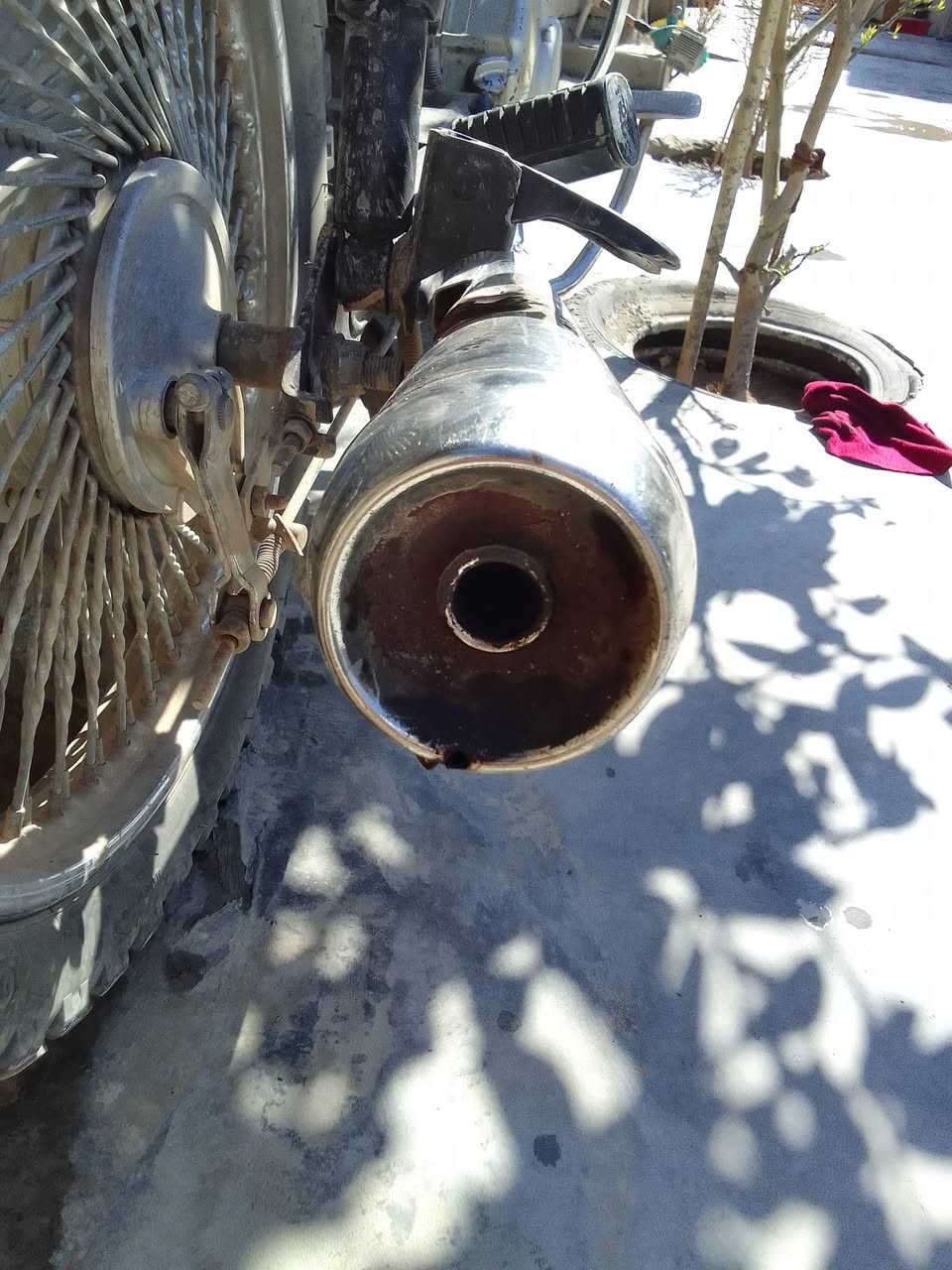 السلام عليكم صالنصه كاتم فول مال تايكر مراوس بصراخ صوت عالي ***********
