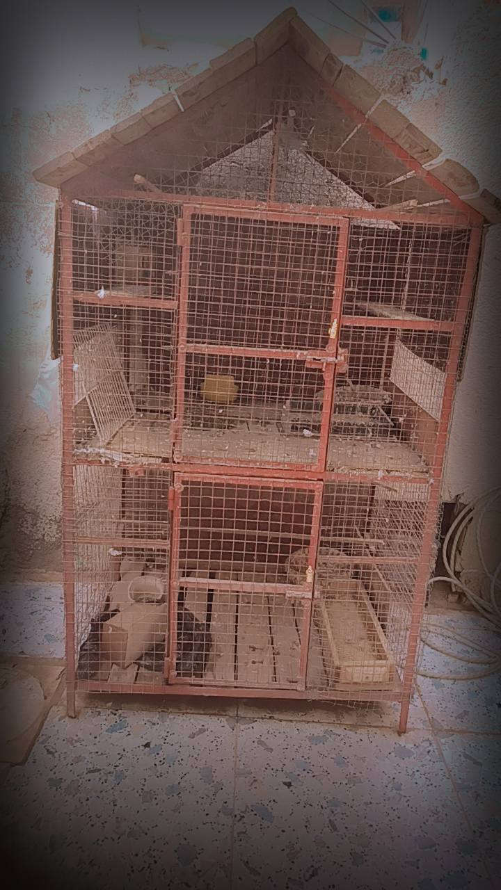 قفص حديد للبيع تفصال سعره (٧٥) ***********
