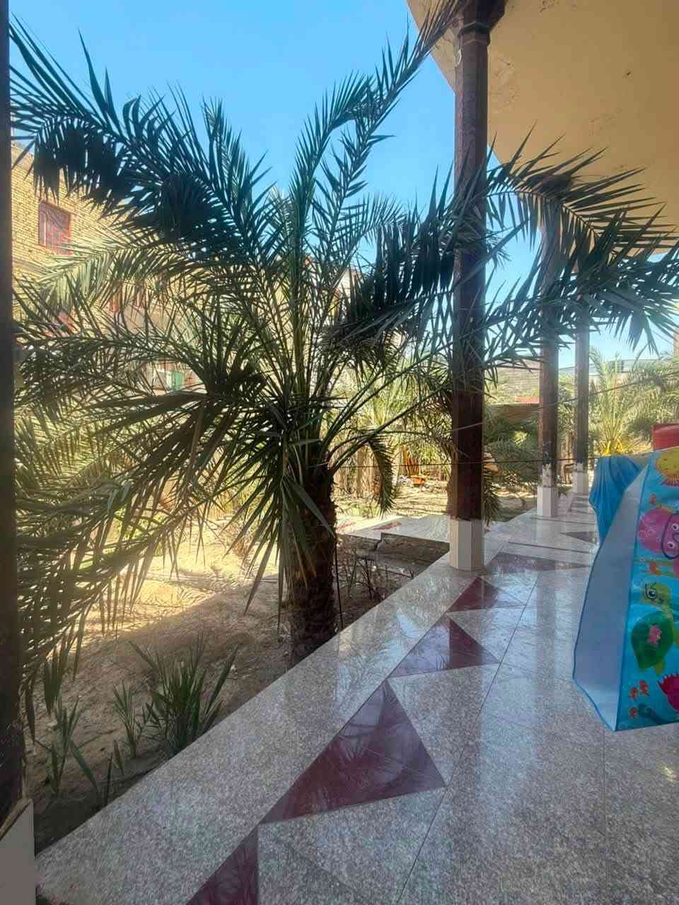 سلام عليكم
نصف دونم للبيع ابي الخصيب البهادريه مقابل مدارس الاسكندريه الاهليه يحتوي على بيت طابقين و ثلاث مشتملات كامله مع ملحقاتها وحديقه كبيره موقع ممتاز ويصلح دار سكن او مدرسه للتفاصيل اكثر الاتصال ع الرقم
***********
او ع الرقم وتساب 
***********
