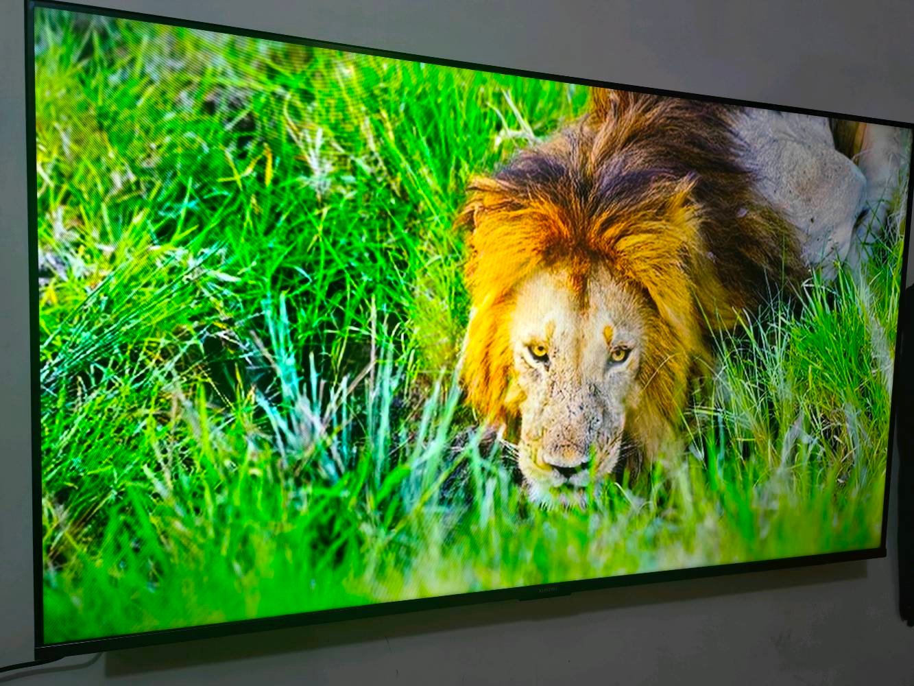 شاشة شاومي A pro 2026  حجم 55 نظافة 100% كامل ملحقات استخدام شهر نقص كارتون فقط للبيع سعر 450 قفل عنواني بغداد ماعندي توصيل اي استفسار عالرقم ***********