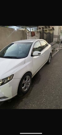 سيراتو • ٥ قطع صبغ • كركوك