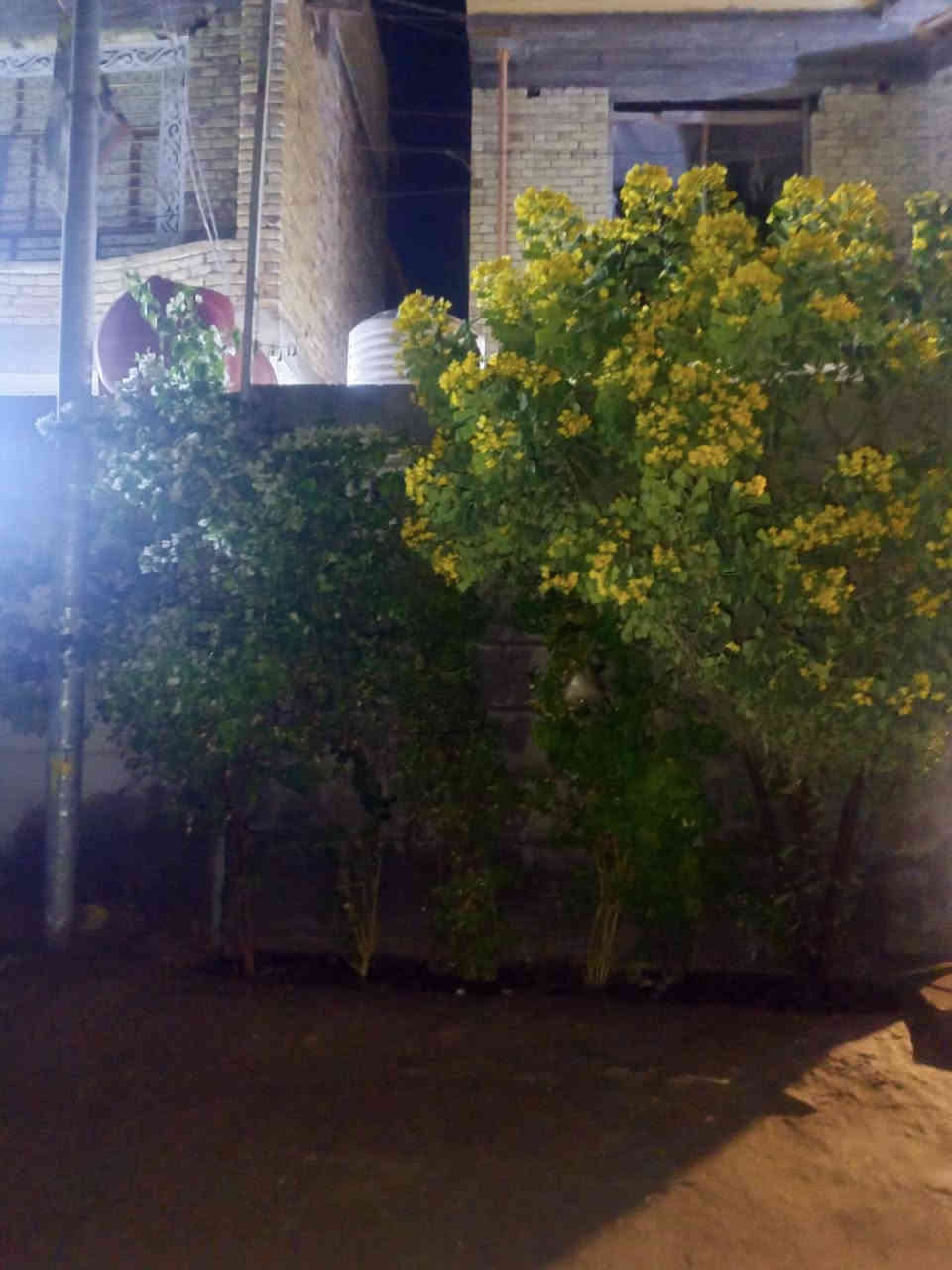 السلام عليكم ورحمه الله وبركاته 
بيت للبيع زراعي سند 25المساحه 170صافي واجهه 10والنزال 17طابقين الطابق الاول يتكون من غرفه واستقبال وهول ومطبخ وصحيات داخليه وخارجه +حديقه بلبيت وخارج البيت بلباب مرتبه الطابق الاول كامل من كلشي مابي نقص البناء حديث طابوك جمهوري وصب مسلح والطابق الثاني نفس البناء هيكل الطابق الثاني العنوان الحولي خلف حي الضباط يبعد عن الشارع العام 100متر خدمات متوفره  السعر خاص  او يتصل الشراي وبي خير ويدلل هاذه رقمي ***********
