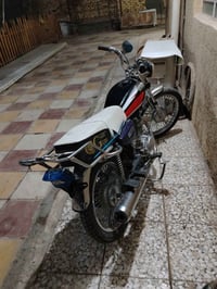 تايكر • موديل ٢٠٢١ • بدون أوراق