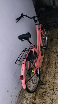 باسكل وردي • موديل ٢٠ • كفالة