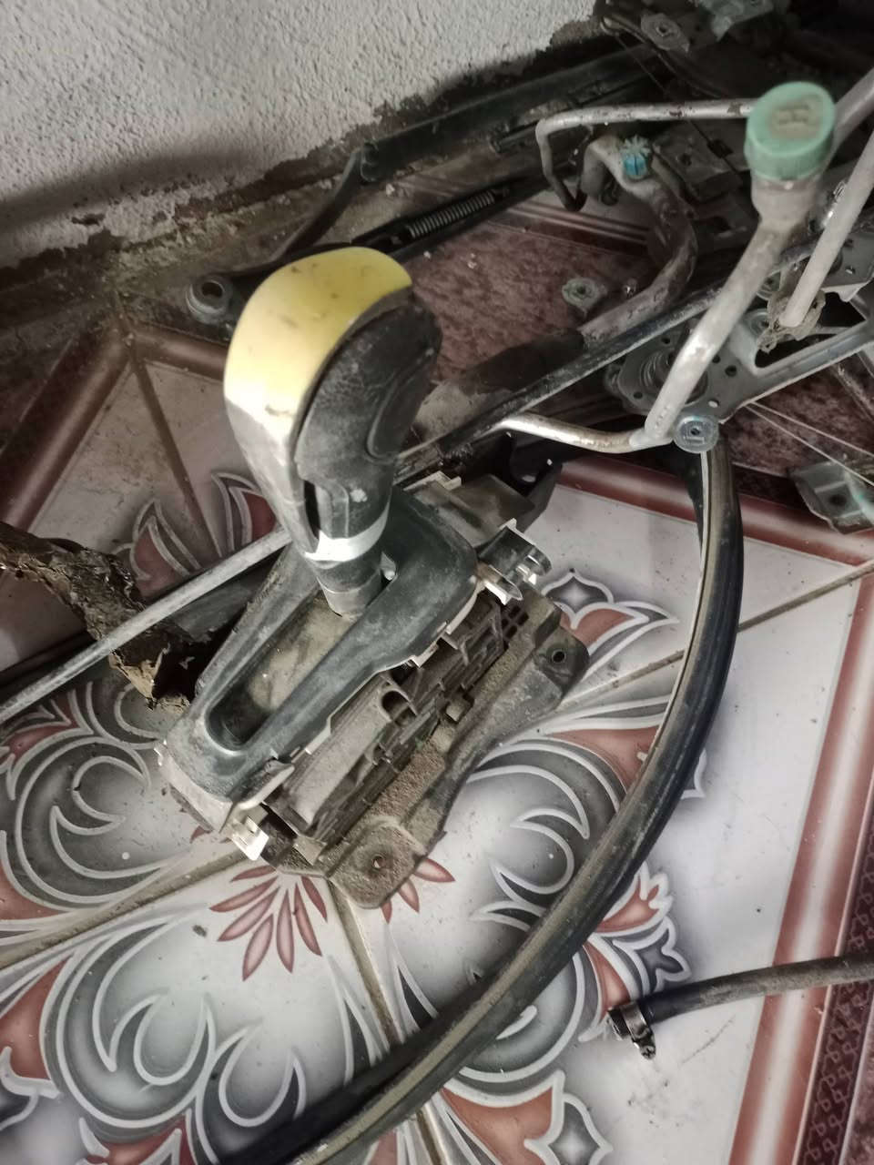 السلام عليكم ورحمه الله وبركاته 
تفصيخ راسم أبو محمد إيشي تحتاج موجود 
غراظ مال سونك بس هذني بقن
العنوان بغداد أبو غريب الزيتون 
***********
