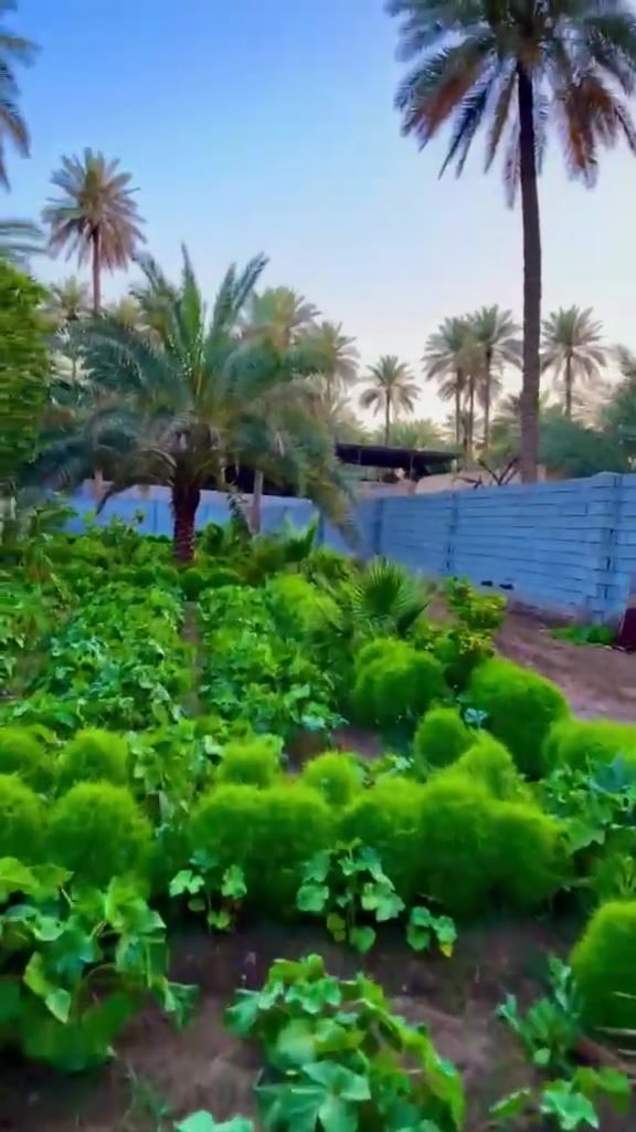1000 متر للبيع علا ابو ماشه 
***********
