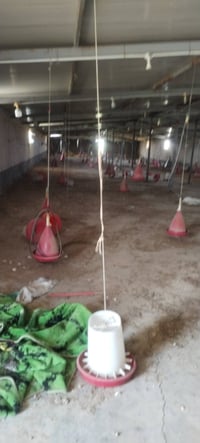 دواجل تفليش • حاضنات ٦ • مولدات ٢