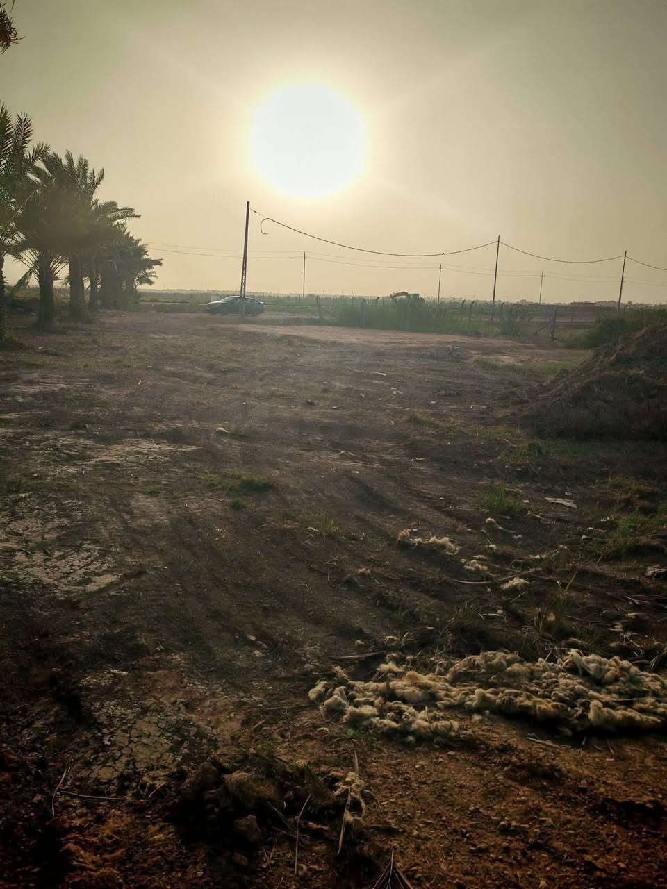 للبيع قطعه مساحة 530 متر طابو زراعي سند  25 تحويل مباشر  
خدمات كامله ماء كهرباء تبليط ) حله ورديه خارج  نزلة سيف سعد طريق يا حسين طريق السكه وره بيت السيد ابو صادق صايره على شارعين 
مجمع احباب الحسين  والمنطقه مسكونه 
القطعه تصلح ثلاث بيوت
السعر 47 وبي مجال 
اتصال او واتساب
‏‪***********‬‏
