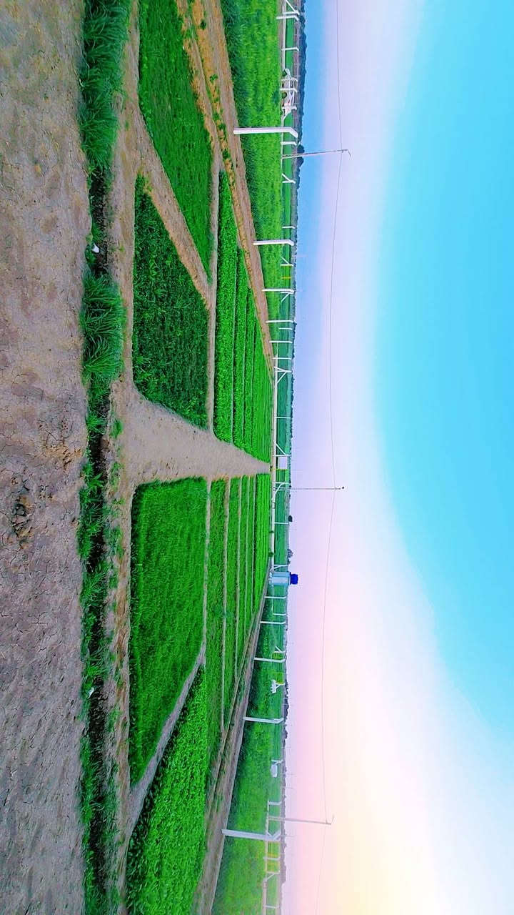 مزرعه للبيع سند 25 المساحه 1000متر ( رقم 8بالمخطط) خلف مجمع توحيد العفلوكي الأول نزله سكه القطار  خدمات( ماء ثلاث خطوط كهرباء محوله خاصه بالمجمع شارع تبليط +تكمله التبليط جلمود ) للأستفسار [ *********** ] [***********]
