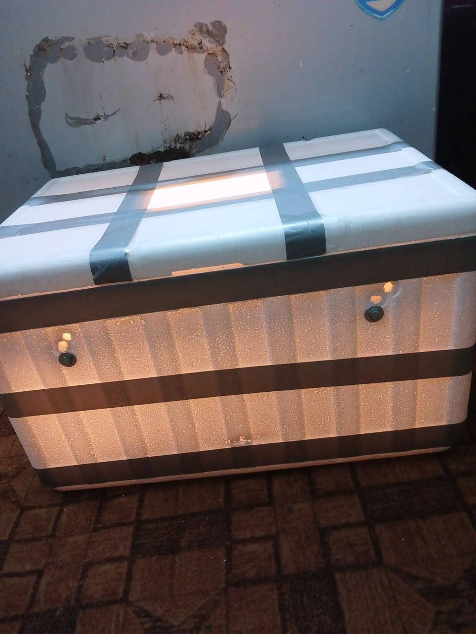 متوفره فقاسه تاخذ 100 بيضه درجه اولى شرط التفقيس متفقس ترجع راسلني وتدلل


**إذا كنت صاحب هذا الإعلان وتريد حذفه لأي سبب، رجاءا أرسل رسالة إلى الدعم الفني**