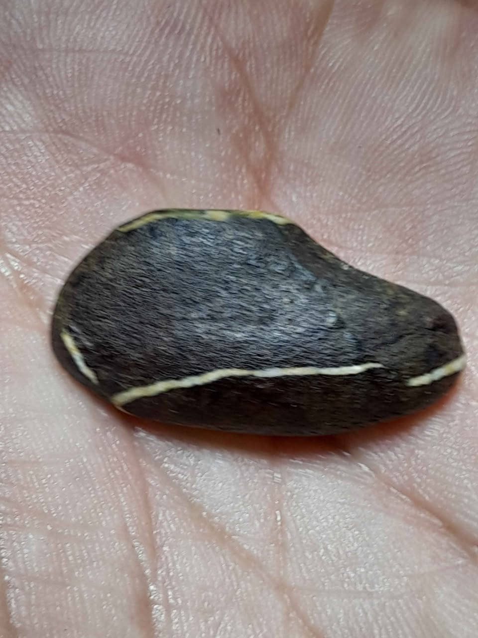 ‎شعارنا الاصلي 
حجر هبهاب معطف اصلي طبيعي مشروط على شكيل قدم قديم سعر 70وتوصيل مجانا‎ حلة, بابل


**إذا كنت صاحب هذا الإعلان وتريد حذفه لأي سبب، رجاءا أرسل رسالة إلى الدعم الفني**