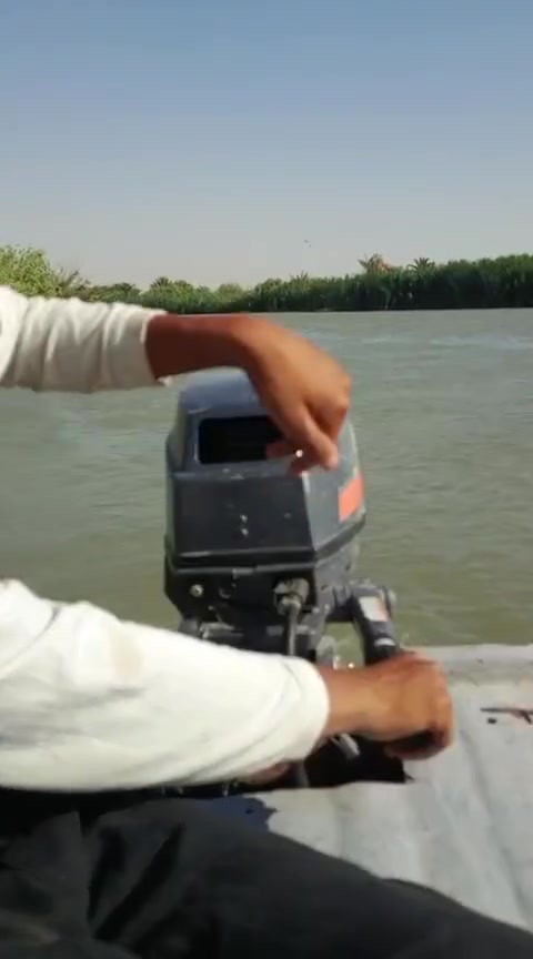 سلام عليكم ورحمه الله وبركاته 
مكينه ام 8يوماها  مكينه خير من الله بس حبل مال جره نقصه 
سعره 500بيه مجال محافظة واسط قضاء الموفقيه ***********
