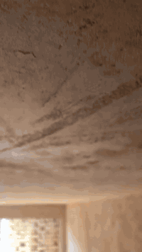 كادر لبخ شغل درجه وله تلث قوط لط جص بورك  شتغل كباله وعل متر وعل يوميه...