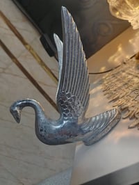 ستيل اصلي • سعر مناسب • للبيع