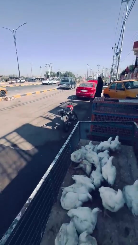 محل جاهز للبيع
للاستفسار ‏‪***********‬‏
