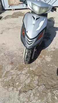 ثعلاب • سلف • كلاشي