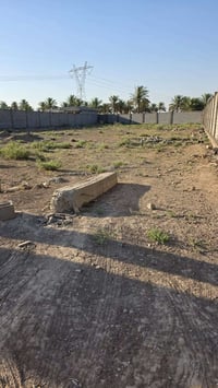يوجد لدي دوانم البيع في بغداد ابو غريب منطقة ١٠ مناصير طابور زراعي سند...